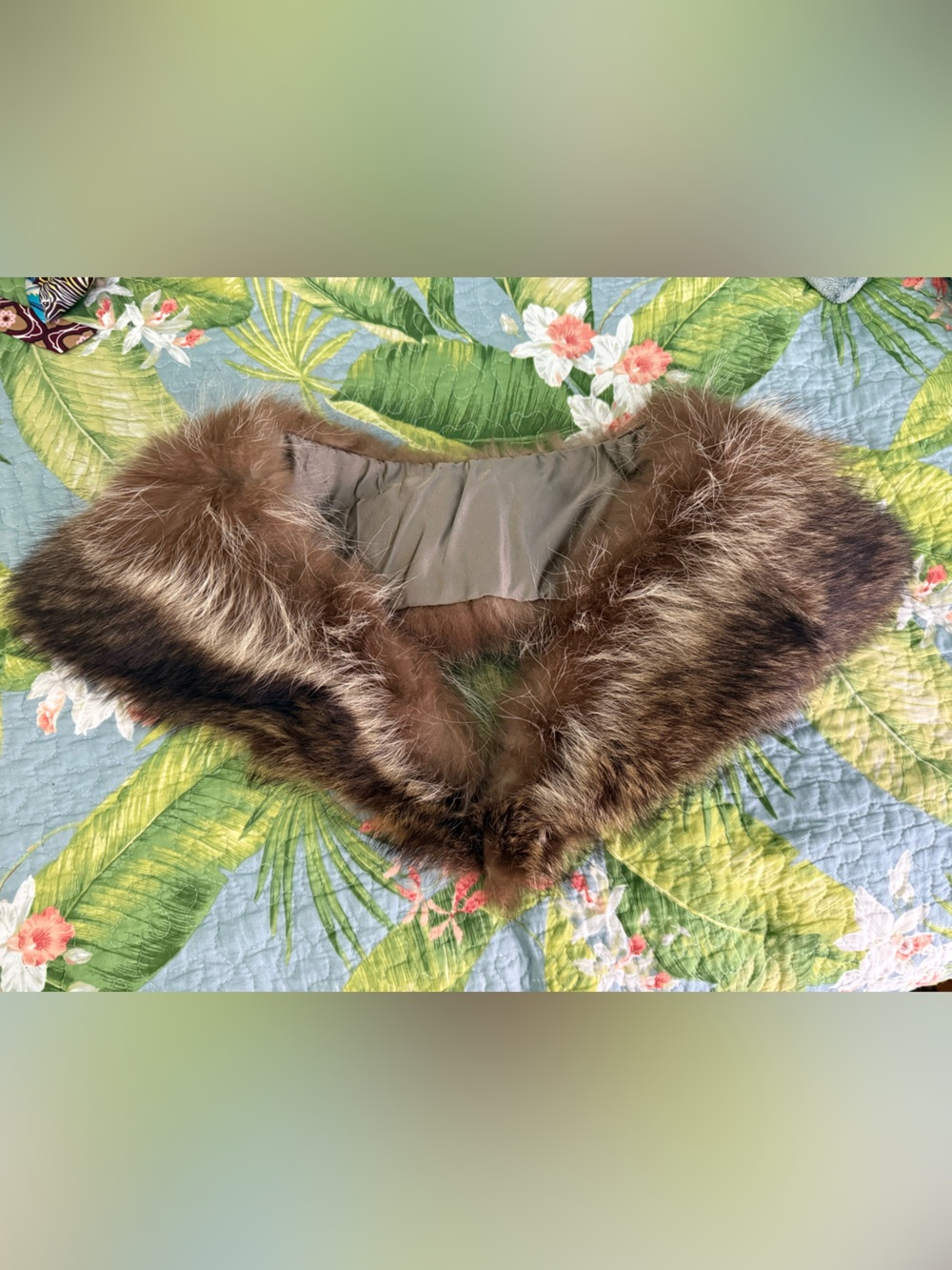 Vintage Fur Collar